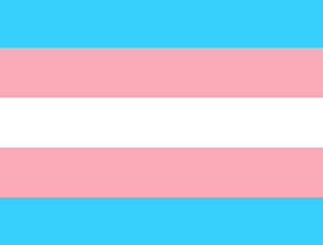 trans flag spotlight